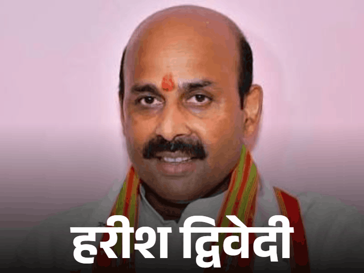 भाजपा के 7 मोर्चा प्रभारियों का ऐलान:हरीश द्विवेदी को युवा, सतीश पूनिया को ST की जिम्मेदारी, इनमें डी. पुरंदेश्वरी सबसे उम्रदराज नेता